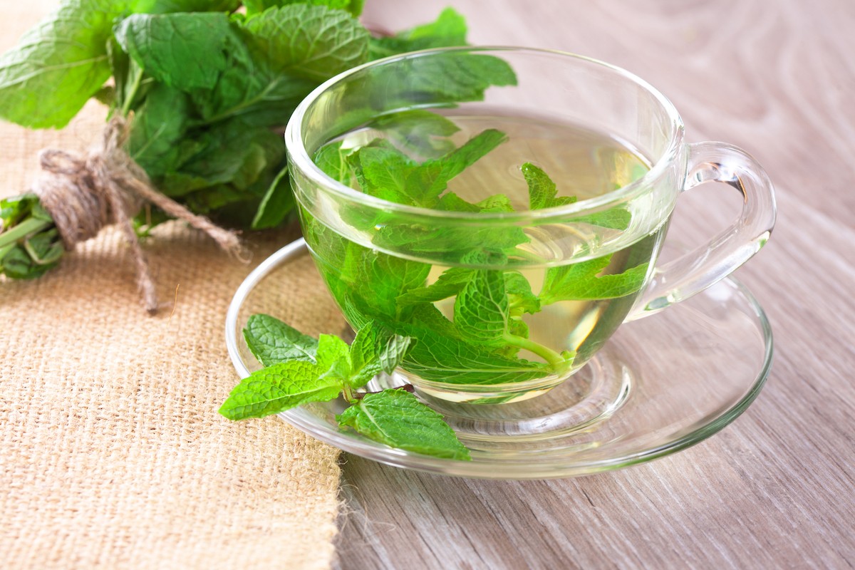 Cup of mint tea and a bunch of mint on the table