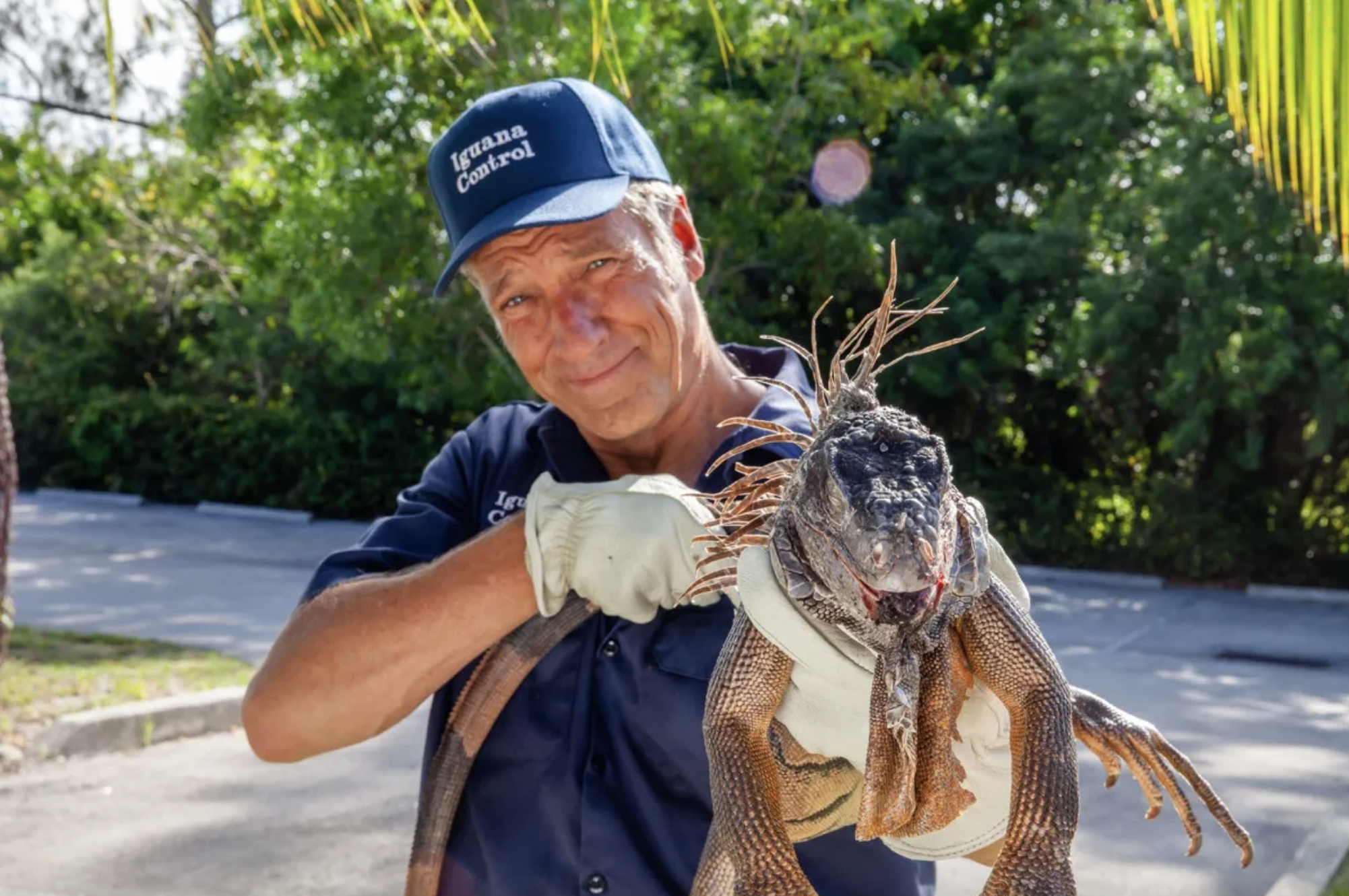 Still from Dirty Jobs; a man is holding an iguana