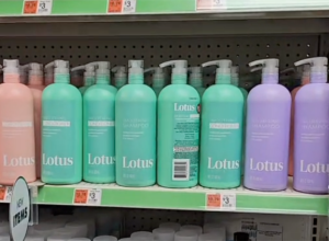 Dollar Tree Shoppers Find 6 $1.25 Dupes for Sun Bum, Aveeno, and More