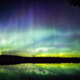 Northern Lights Could Soon Become "Common Sight" in the U.S., Scientists Say