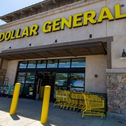 Dollar Tree, Dollar General, and Other Retailers "Exploit" Certain Customers, New Report Says