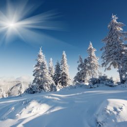 So Long Summer: Up to 10 Inches of Snow May Fall Today—Here's Where