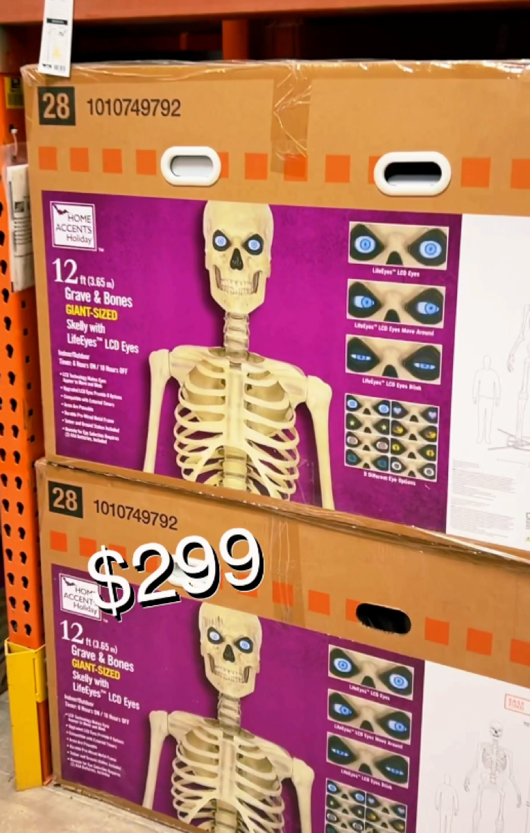 animated skeleton from home depot