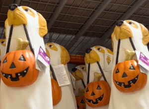 Home Depot’s Halloween Decorations Are Selling Out Fast—Get Your Giant Skeleton Before They’re Gone