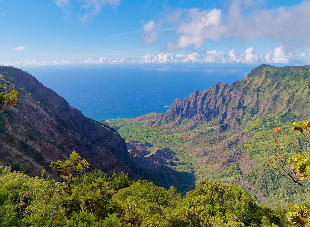 View over the Kalalau Valley and Na Pali Coast from the Kalalau Lookout, Kokee State Park State Park on the Island of Kauai, Hawaii