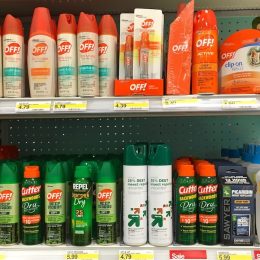 Is DEET Bug Spray Safe? Here's What Doctors Recommend for the Concerning Oropouche Virus