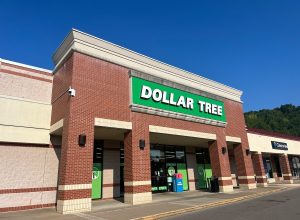 6 Things You Didn't Know Were Sold at Dollar Tree, Including a "Designer" Find