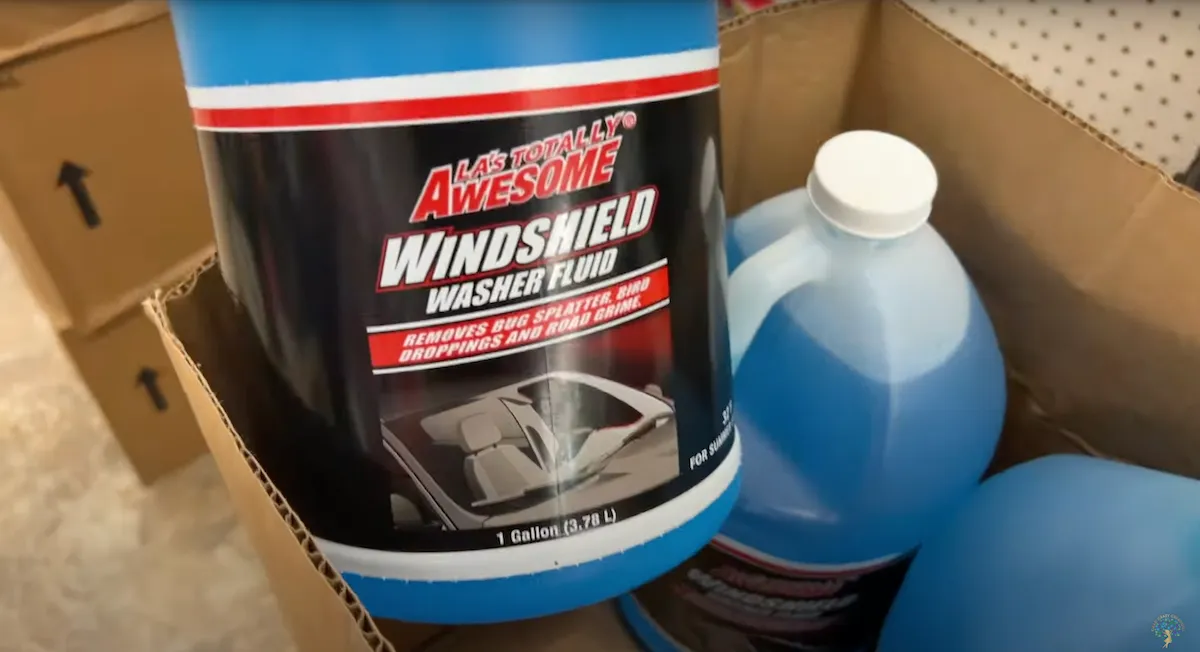 windshield washer fluid at Dollar Tree