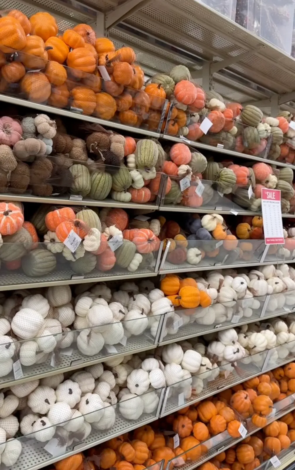 display of mini pumpkins at hobby lobby