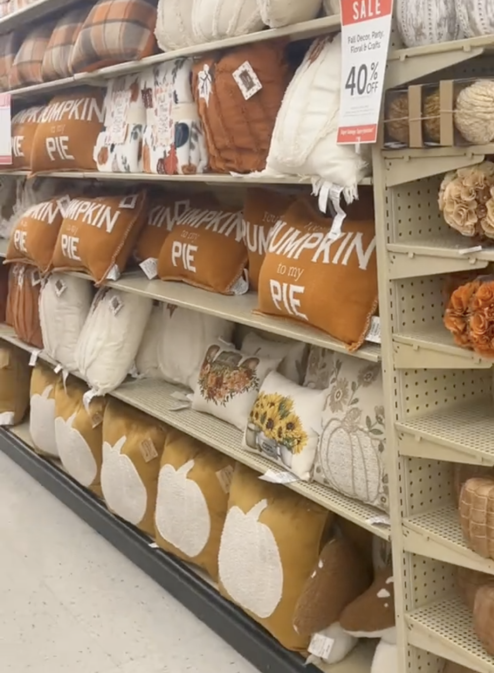 fall-themed throw pillows at Hobby Lobby