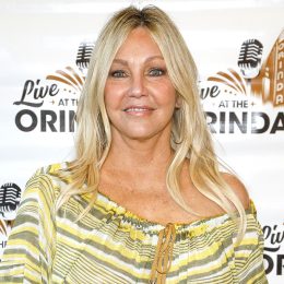 See “Melrose Place” Star Heather Locklear Now at 62