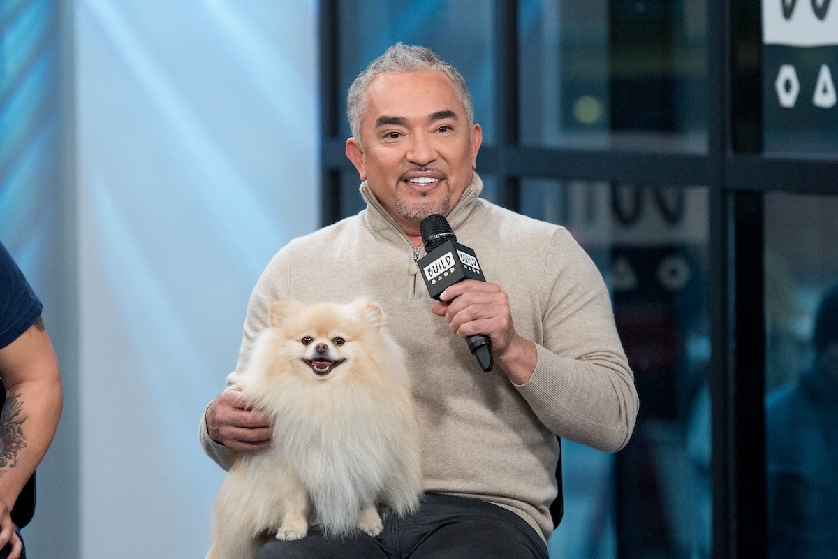 Cesar Millan Reveals How to Actually Stop Your Dog From Barking
