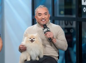 Cesar Millan Reveals How to Actually Stop Your Dog From Barking