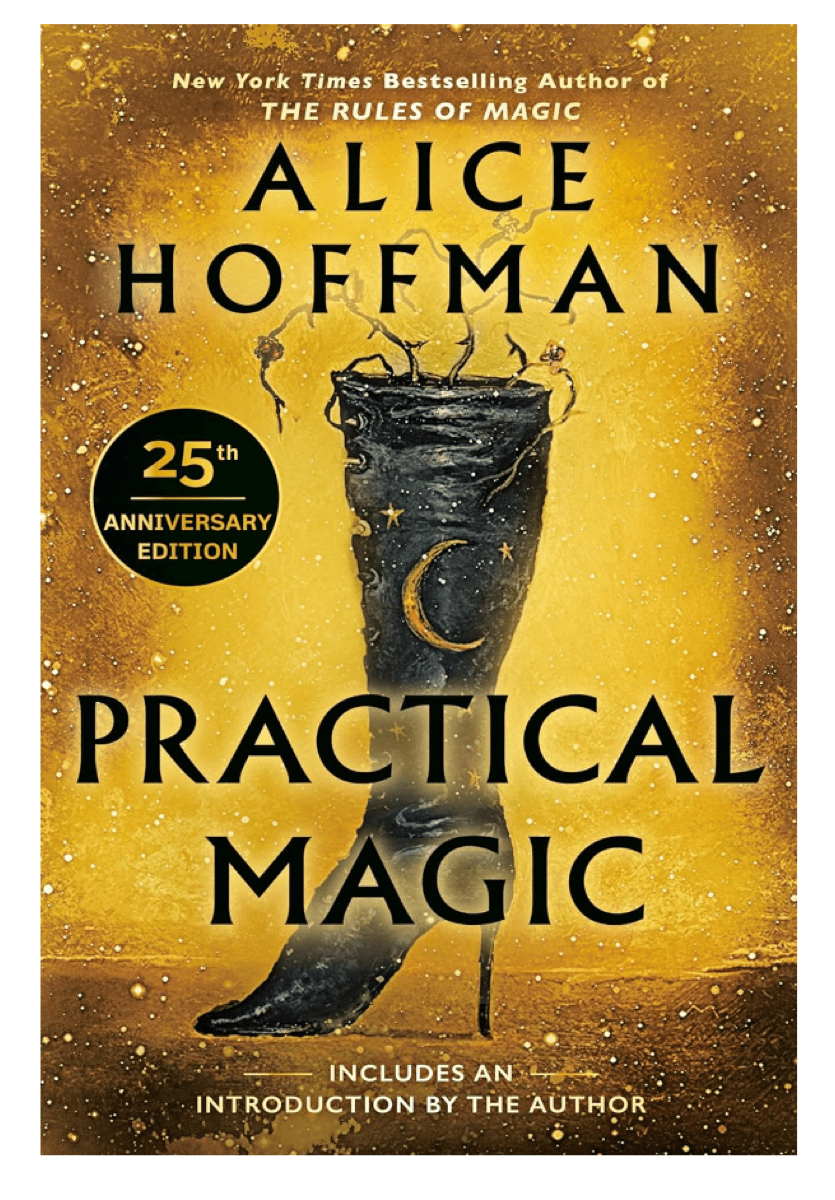 practical magic cover