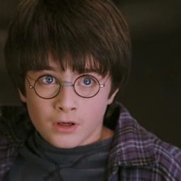 Costco's Latest Product Reveal Has Harry Potter Fans Going Nuts