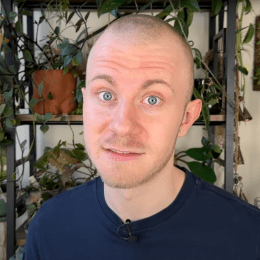 I Have 300 Houseplants and These Are the Plants "I Just Can't Stand"