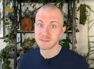 I Have 300 Houseplants and These Are the Plants "I Just Can't Stand"