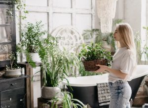4 Houseplants That Absorb Moisture in Your Bathroom and Look Beautiful