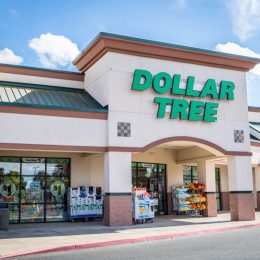 Dollar Tree store