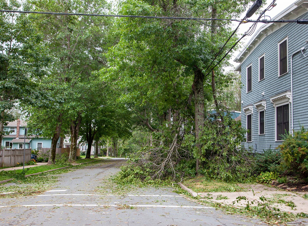 Storm damage in Halifax, Nova Scotia