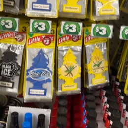 Shopper Shares 8 Must-Have Car Accessories From Dollar Tree