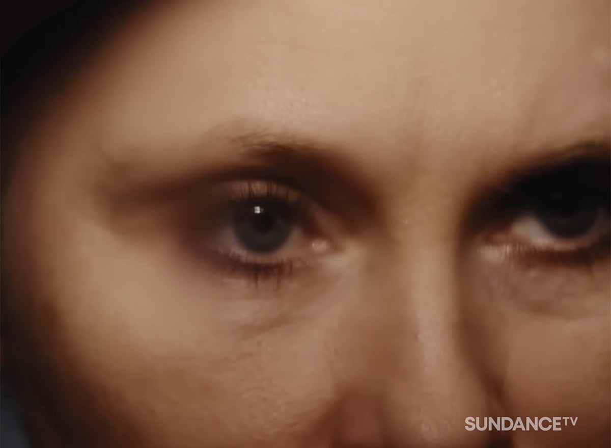 The Hunt for the Chameleon Killer