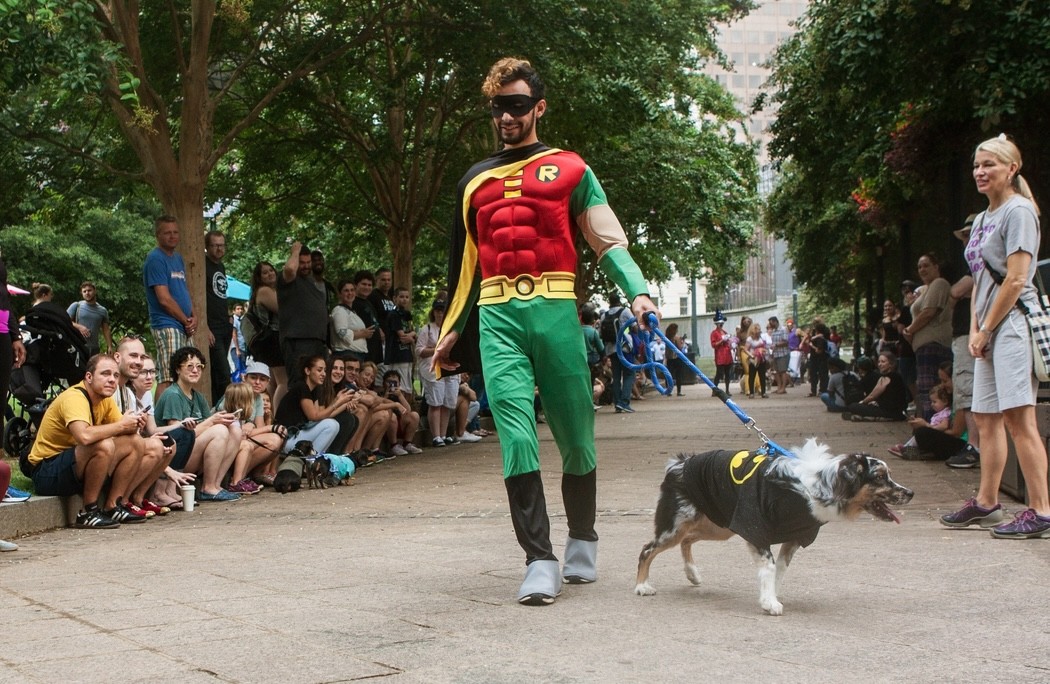 man and his dog dressed as Batman and Robin in a Halloween parade
