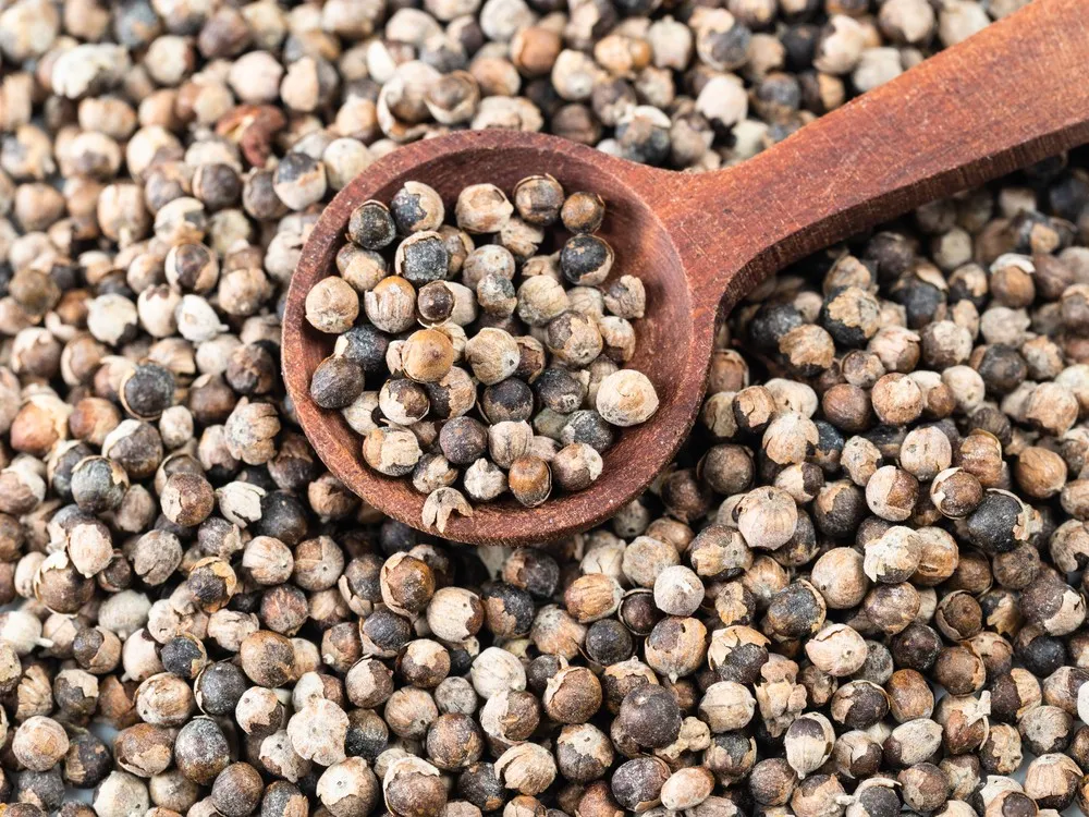 Chasteberry (St. Vitex)