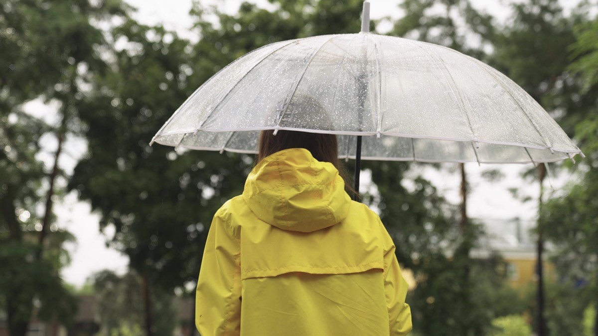 A girl under umbrella in the rain