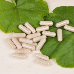 6 Surprising Ginkgo Biloba Benefits, According to Doctors