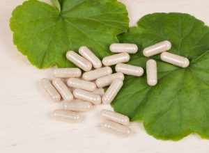 6 Surprising Ginkgo Biloba Benefits, According to Doctors