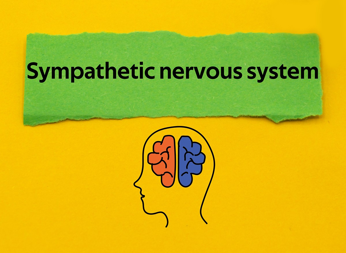 ​Sympathetic Nervous System graphic