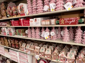 8 Best Things to Buy at Hobby Lobby for Christmas
