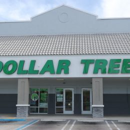 Dollar Tree's New Pet Food Is Full of Good Ingredients for Your Dog or Cat—And It's Just $1.25