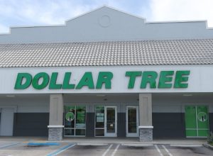 Dollar Tree's New Pet Food Is Full of Good Ingredients for Your Dog or Cat—And It's Just $1.25