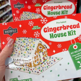 Dollar Tree Shoppers Are Running to Grab These $1.25 Gingerbread Kits Before They Sell Out