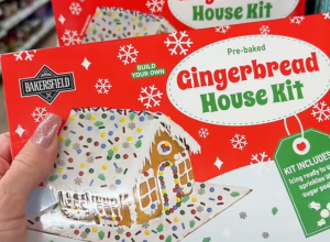 Dollar Tree Shoppers Are Running to Grab These $1.25 Gingerbread Kits Before They Sell Out
