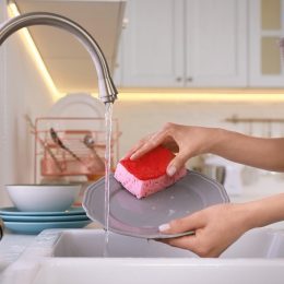 Your Kitchen Sponge May Be Dirtier Than Your Toilet Seat—Here's What to Do