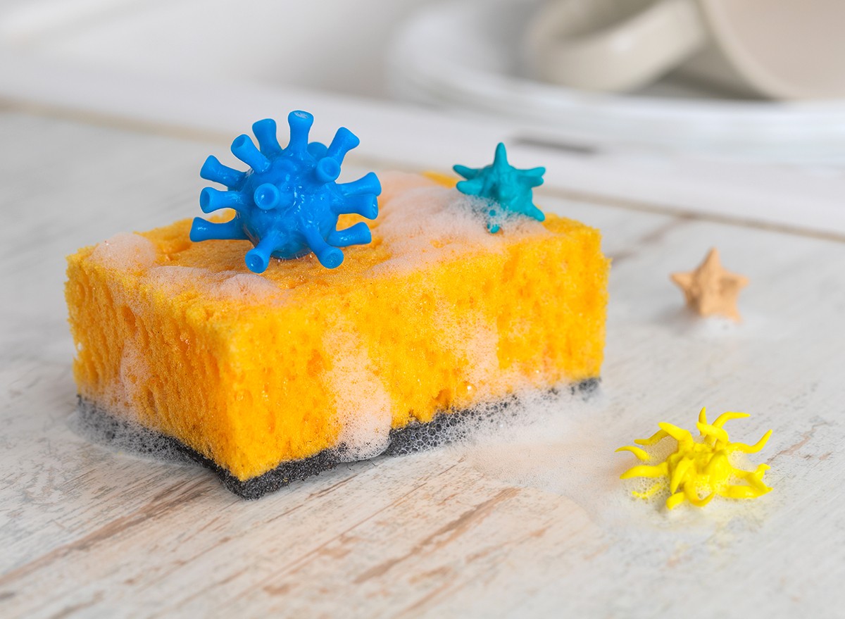 Viruses and germs on the dishwashing sponge