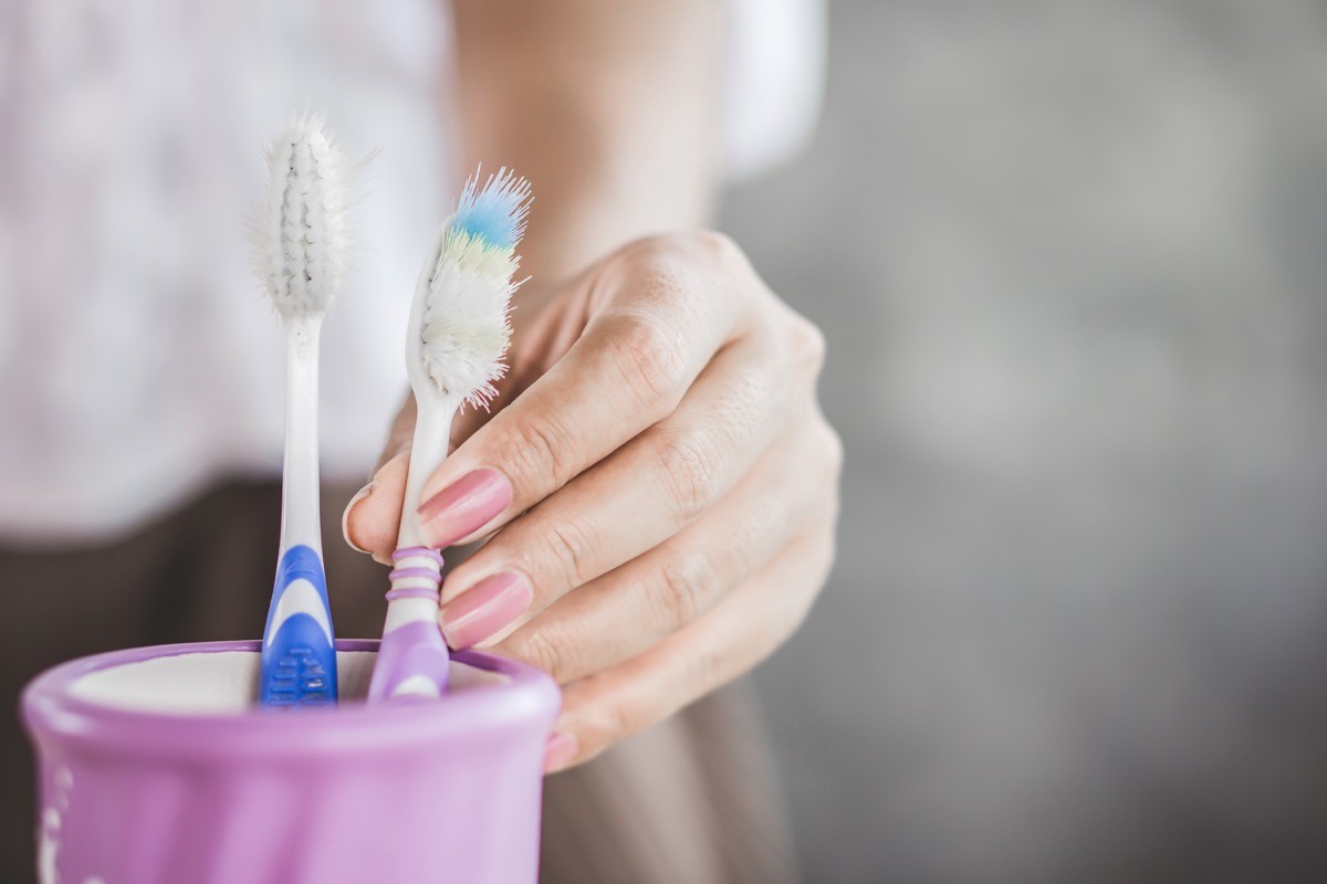Toothbrushes in a toothbrush holder in a bathroom