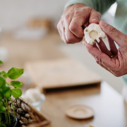 105-Year-Old Woman Reveals the Strange Thing She Eats Every Day for Longevity