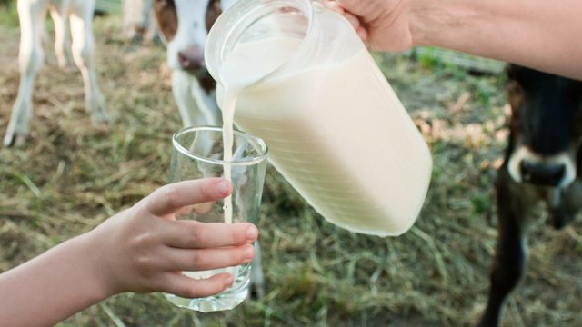Critical Warning for Raw Milk Drinkers as Bird Flu Cases Surge