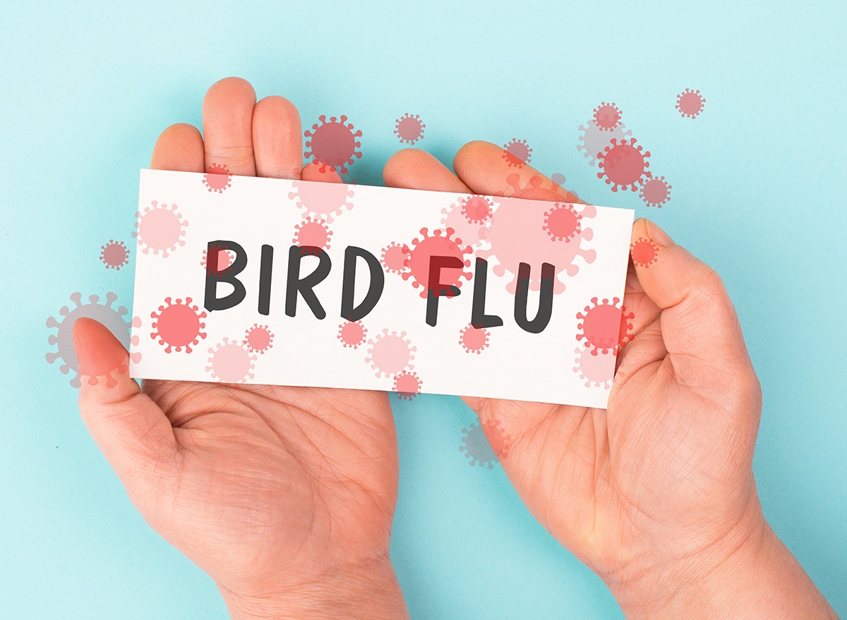 Two hands holding a sign that reads, 'BIRD FLU'