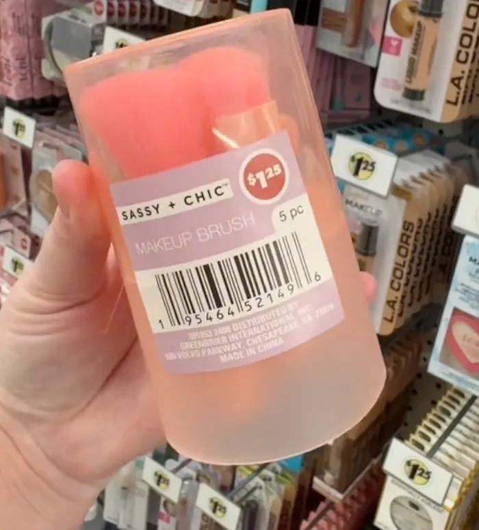 Sassy + Chic Makeup Brush Kit at Dollar Tree