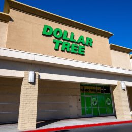 Esthetician Shares the 8 Best Dollar Tree Skincare Products