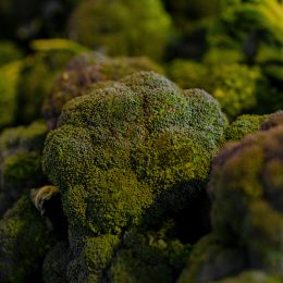 Broccoli Sold at Walmart Recalled Across 20 States Over Listeria Concerns