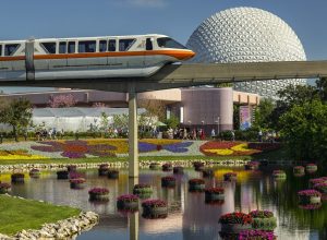 These Are Now the “Cheapest Times to Go to Disney World,” According to Experts