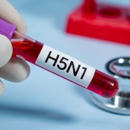 New Map Tracks Bird Flu Cases as U.S. Reports First Human Death