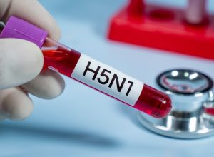 New Map Tracks Bird Flu Cases as U.S. Reports First Human Death