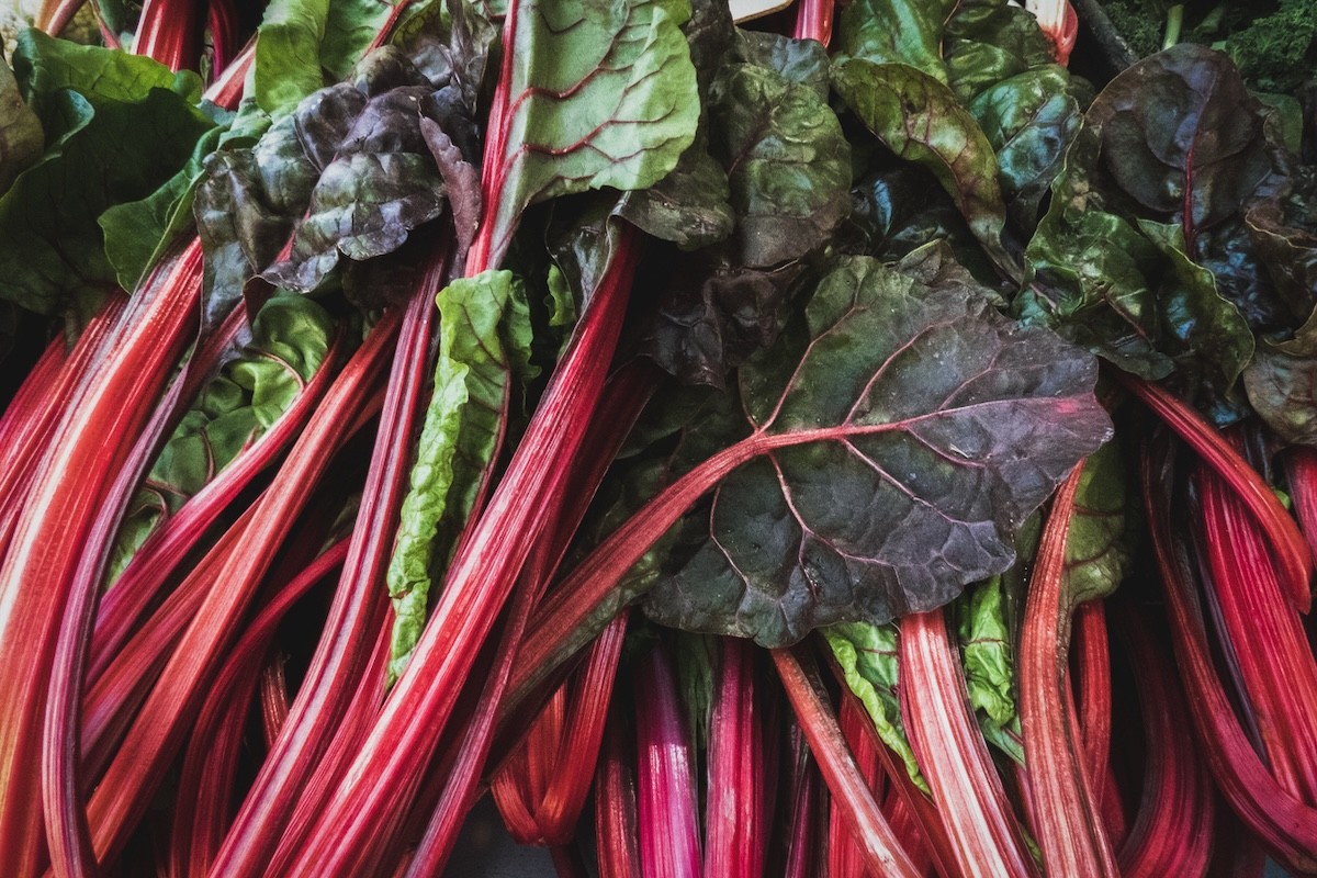 close up of red chard